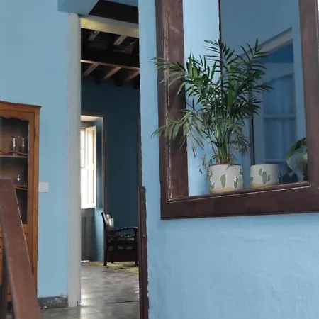 La Ballena Azul *