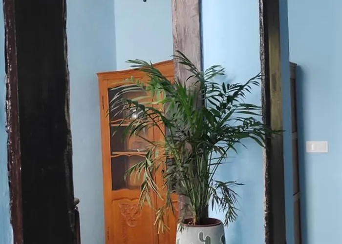 La Ballena Azul * 洛斯瑟罗斯