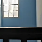 La Ballena Azul *